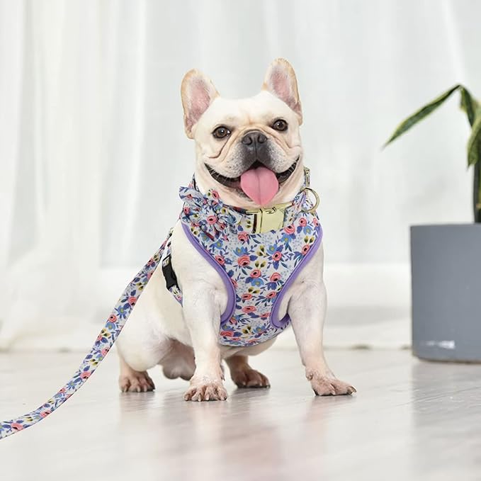Beirui Cute Girl Dog Collars, Harnesses & Leashes Set - Adjustable Dog Collar and Leash Set with Flower - Soft Mesh Dog Vest Harness for Puppies Small Medium Dogs (Blue,S)