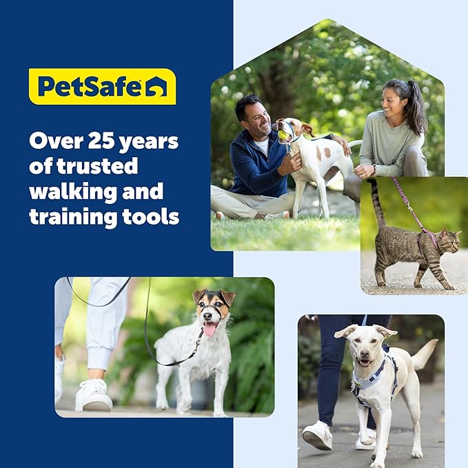 PetSafe Nylon Leash - Strong Nylon for Everyday Walks - Durable Pet Leash with Quick Attach Clip - Comfortable Soft Grip - 6 Feet - Royal Blue