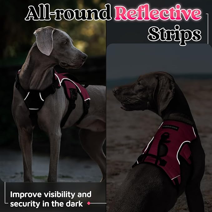 rabbitgoo Escape Proof Dog Harness, Soft Padded Full Body Pet Harness, Reflective Adjustable No Pull Vest with Lift Handle and Leash Clip for Large Dogs Walking Hiking Training, M, Pink