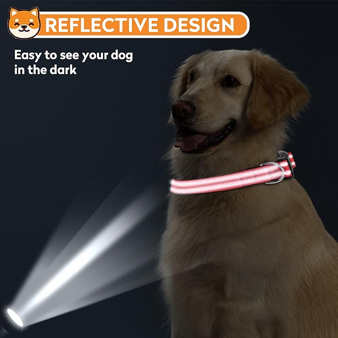 Reflective Dog Collar, Adjustable Soft Neoprene Padded Nylon Pet Collars with Buckle for Small Dogs, Red,S