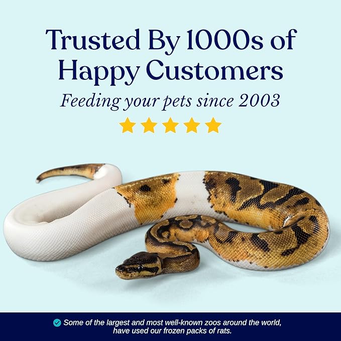 MiceDirect Frozen Rat Smalls Feeder Food Adult Ball Pythons Adult Red Tail Boas Monitors Lizards (4.5-6 in (Pack of 100))