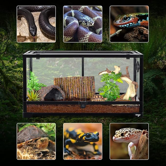 Large Reptile Tank 25 Gallon, 360°Full Vision Glass Reptile Terrarium with Top Mesh Lid for Beaded Dragon Lizard Gecko Snake Hermit Crab Use, 30"(W) X 12"(D) X 16"(H)