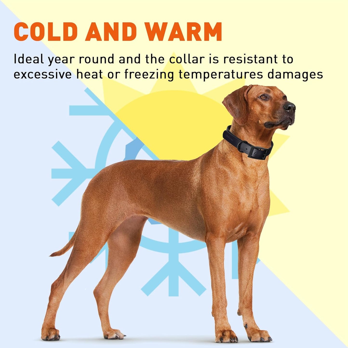 Dogline Biothane Waterproof Dog Collar Strong Coated Nylon Webbing with Black Hardware Odor- Proof for Easy Care Easy to Clean High Performance Fits Small Medium or Large Dogs, Cherry Red