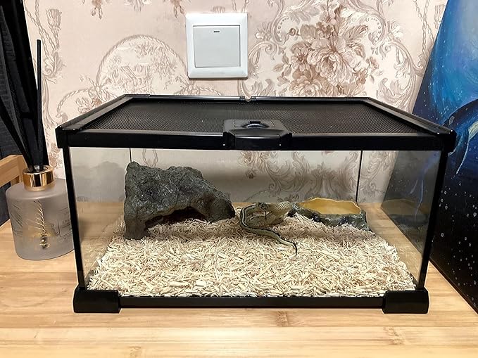 Mini Reptile Glass Terrarium Tank, cage for Tarantula Sling Geckos, Frog, Lizards, Chameleons,Turtles Snake Snail Insect Hermit Crab Isopods Reptiles Enclosure (12x8x6inch)