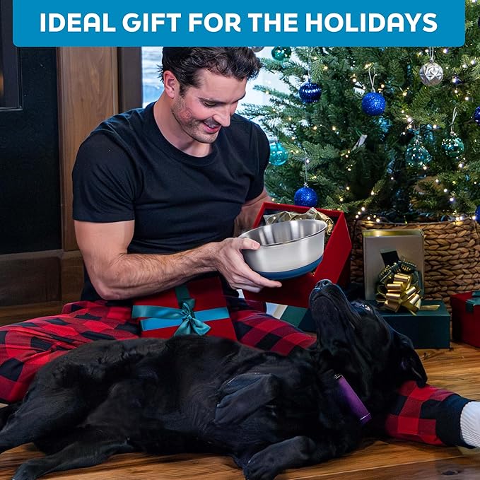 Master Pet Supply Stainless Steel Dog Bowls Set of 2 with Extra Thick Silicone Base - 16 Cup (128 oz) Emerald Sea, Non-Slip, Dishwasher Safe Metal Bowls, Pet Dog Food Bowl for Dogs, Cats, Anti Rust