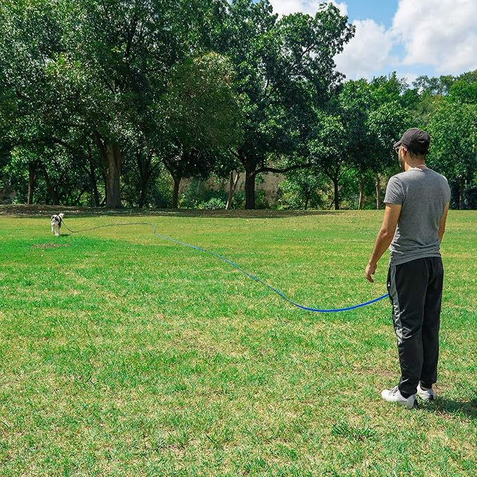 Hi Kiss Dog/Puppy Obedience Recall Training Agility Lead - 15ft 20ft 30ft 50ft 100ft Training Leash - Great for Training, Play, Camping, or Backyard (50 Feet, Green)
