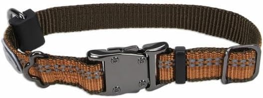 Coastal Pet K9 Explorer Reflective Adjustable Dog Collar - Comfortable Collar for The Outdoors - Durable, Lightweight Accessory with Side-Release Buckle - Campfire Orange, 5/8" x 10-14"