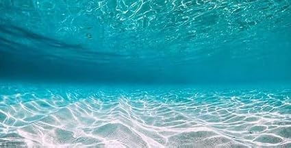 30X12IN Natural Undersea Aquarium Background, Undersea Beach Fish Tank Background, with 8 EVA Double-Sided Tape