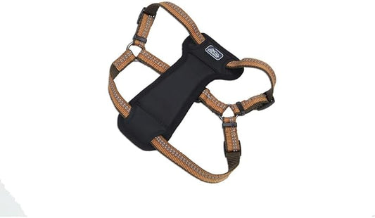 Coastal Pet K9 Explorer Reflective Adjustable Padded Dog Harness - Plush Chest Pad for Comfort - No-Pull Dog Harness for Small and Large Dogs - Campfire Orange - 1" x 20"-30", Medium
