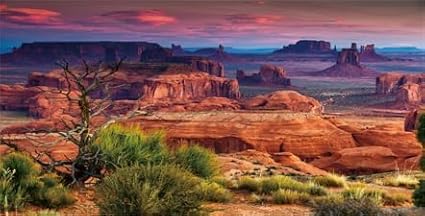 36X24IN Desert Loess Rock Cactus Oasis Reptile Habitat Background, Natural Sunset Desert Themed Terrarium Background, Aquarium Background with 10 EVA Double-Sided Tape