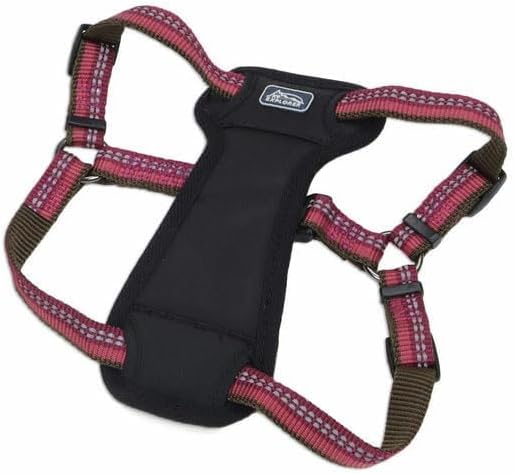 Coastal Pet K9 Explorer Reflective Adjustable Padded Dog Harness - Plush Chest Pad for Comfort - No-Pull Dog Harness for Small and Large Dogs - Berry - 5/8" x 12"-18", X-Small