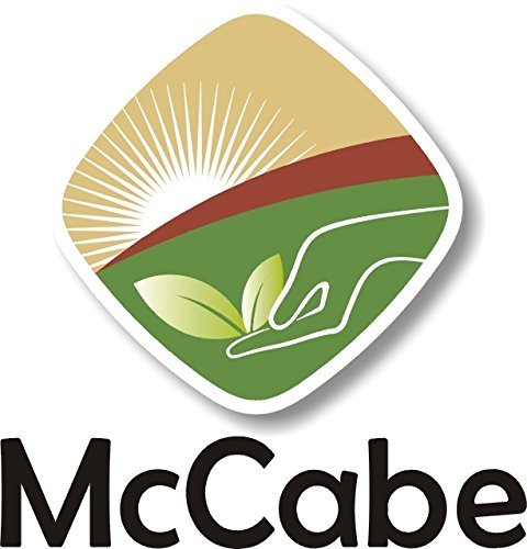 McCabe Organic Buckwheat Flour - Buckwheat Flour Organic | Rich with Fiber & Minerals | USDA and CCOF Certified | Packed in USA | 2Lbs (Pack of 2)
