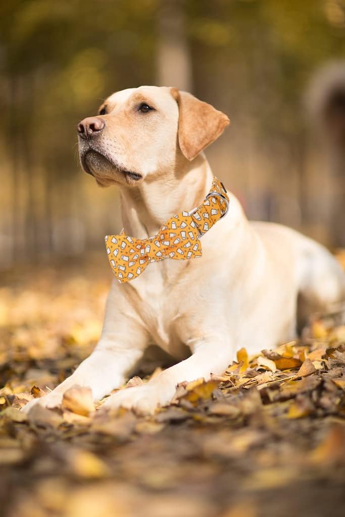 Lionet Paws Halloween Dog Collar with Bowtie - Cute Cotton Adjustable Fall Bowtie Dog Collar with Metal Buckle for Small Medium Large Dog Girl Boy Gift, S, Neck 10-16in