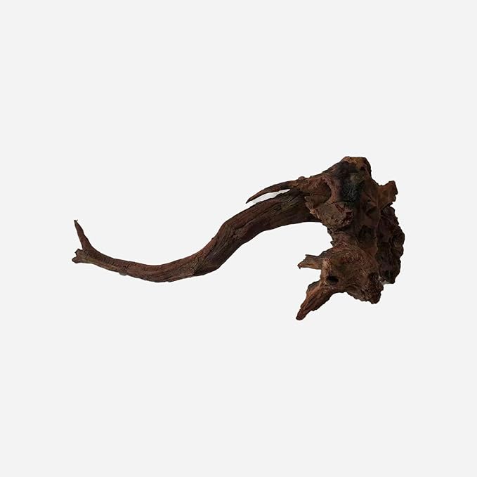 LYPHARD AQUARIUMS Natural Driftwood for Aquarium Decor, L19.69×W11.81×H7.87 Inches Large Drift Wood Decorations for Reptile Hide, Fish Tank, Optional Shapes