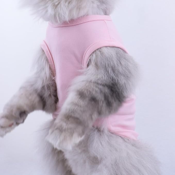 Custom Dog Birthday Shirt,Personalized Pet Apparel Print with Name Age Number,Pet Birthday Outfit,Lightweight Breathable Cotton Vest for Small Medium Large Dogs Cat (White + Black Border, Small)