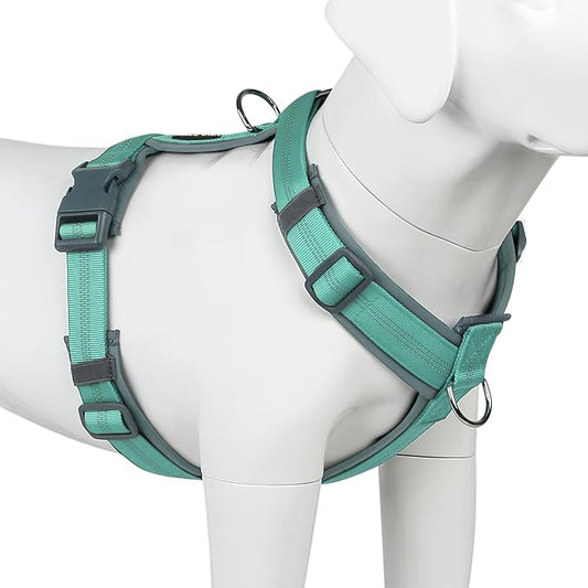 Plutus Pet No Pull Dog Harness, Adjustable Nylon Harness with Soft Padding, Reflective and Heavy Duty Dog Harness for Small, Medium, Large Dogs(Teal, L)