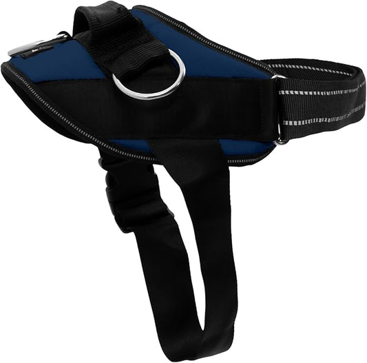 ShawnCo Essential Dog Harness, No-Pull Pet Vest with 3 Leash Clips, No Choke, Reflective, Adjustable and Padded, for Easy Walking and Training for Small, Medium and Large Dogs (Pacific Blue, XS)