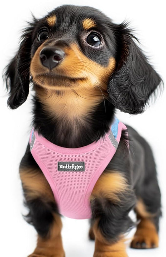 rabbitgoo Small Dog Harness, Step-in Soft Mesh Puppy Vest with Safety Buckle, Breathable Reflective Pet Harness for Extra Small Dogs, Blue & Light Pink XXS