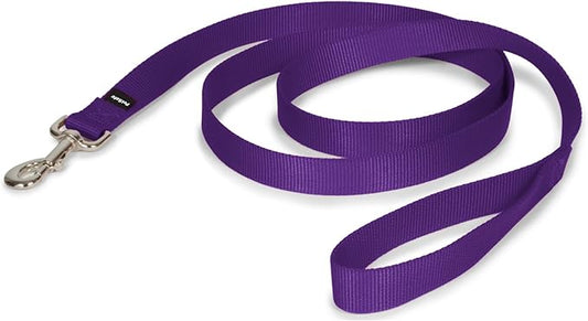 PetSafe Nylon Leash - Helps Maintain Secure Connection on Walks - Durable Pet Leash with Easy Clip - 1 in. x 6 ft. - Deep Purple