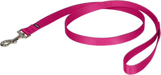 PetSafe Nylon Leash - Strong Nylon for Everyday Walks - Durable Pet Leash with Quick Attach Clip - Comfortable Soft Grip - 4 Feet - Raspberry Pink