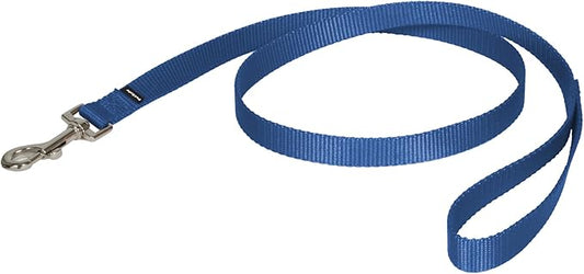 PetSafe Nylon Leash - Strong Nylon Dog Leash for Everyday Walks - Durable Pet Leash with Quick Attach Leash Clip - Comfortable Soft Grip - 4 Feet - Royal Blue
