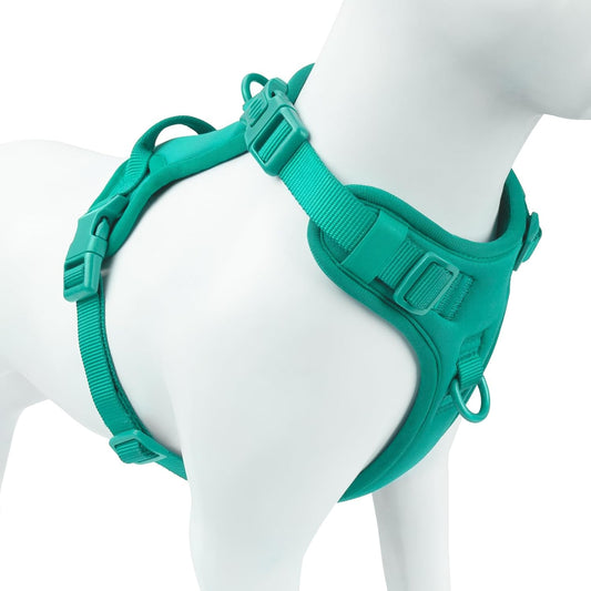 No Pull Dog Harness, Puppy Vest with Front Clip for Small Medium Large Sized Dog(MARRS Green,XL)