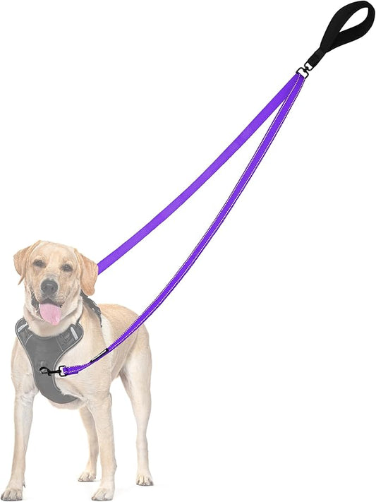 PetBonus Two Point Control Dog Leash, Works with No Pull Harnesses, No Tangle Training Leashes, Soft Padded and Reflective Walking Lead, Converts to Single Lead for Medium Large Dogs (Purple)