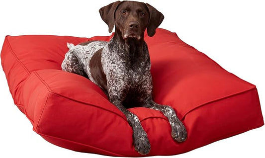 Charlie Rectangle Indoor/Outdoor Pillow Style Dog Bed, Salsa, Large (36" x 48")