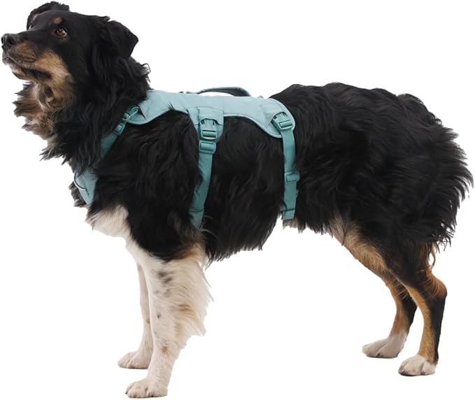 Ruffwear, Web Master, Multi-Use Support Dog Harness, Hiking and Trail Running, Service and Working, Everyday Wear, Red Canyon, Small