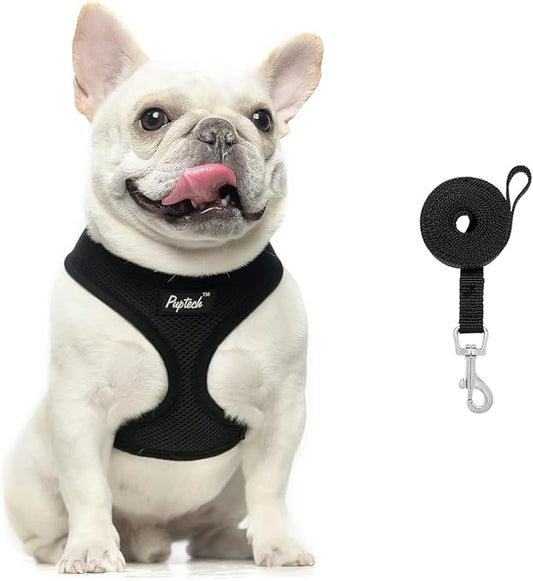 PUPTECK Soft Mesh Dog Harness and Leash Set Pet Puppy Cat Comfort Padded Vest No Pull Harnesses, Solid Black, S