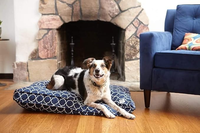 Molly Mutt Sheepy Wool-Filled Crate Pad, GOTS-Certified 100% Organic Cotton Canvas Cover with Soft 100% Natural Wool Insert, Ideal for Dog Bed or Kennel, Amarillo by Morning, 54" x 37" x 2.5"