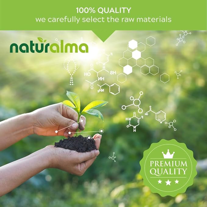Naturalma Red Grapevine (Vitis vinifera) Leaf Alcohol-Free Tincture - 4 fl oz Liquid Extract in Drops - Herbal Supplement - Vegan