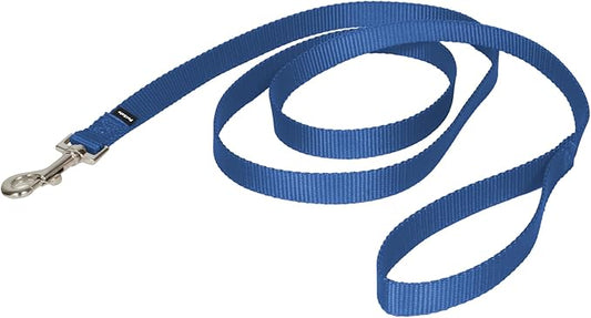 PetSafe Nylon Leash - Strong Nylon for Everyday Walks - Durable Pet Leash with Quick Attach Clip - Comfortable Soft Grip - 6 Feet - Royal Blue
