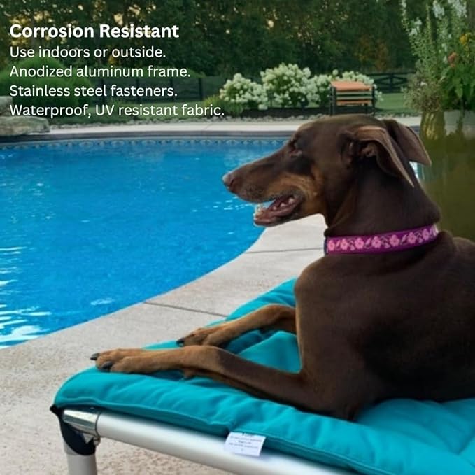 Kuranda Chewproof Elevated Pet Bed - Silver Aluminum - 35" x 23" - Sunsure Textilene - Sierra