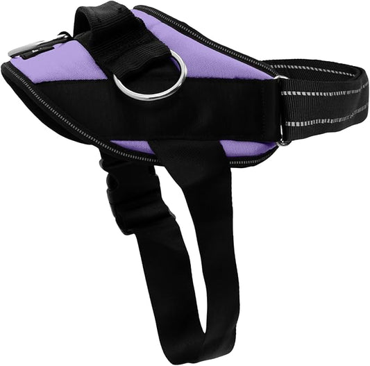 ShawnCo Essential Dog Harness, No-Pull Pet Vest with 3 Leash Clips, No Choke, Reflective, Adjustable and Padded, for Easy Walking and Training for Small, Medium and Large Dogs (ICY Lilac, S)