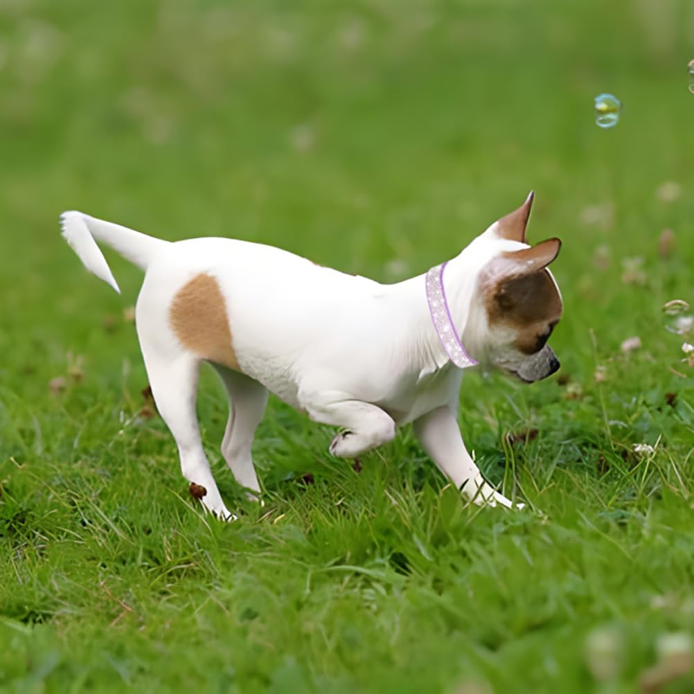 Rhinestone Dog Collar for Small Dogs, Bling Diamond Fancy Crystal Glitter Pretty Jewel Pet Puppy Collars for XXS XS Small Medium Large Breed Girl Dogs Female Cats Kitten, Colorful Hot Pink M