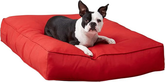 Charlie Rectangle Indoor/Outdoor Pillow Style Dog Bed, Salsa, Medium (30" x 42")