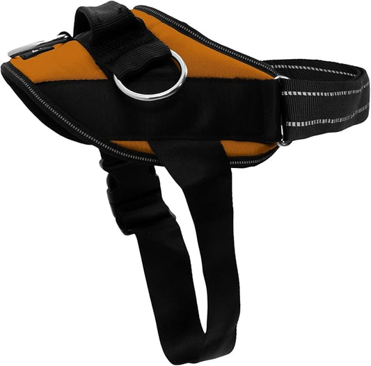 ShawnCo Essential Dog Harness, No-Pull Pet Vest with 3 Leash Clips, No Choke, Reflective, Adjustable and Padded, for Easy Walking and Training for Small, Medium and Large Dogs (Sunset Orange, XL)