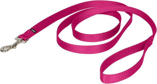 PetSafe Nylon Leash - Helps Maintain Secure Connection on Walks - Durable Pet Leash with Easy Clip - 3/4 in. x 6 ft. - Deep Purple