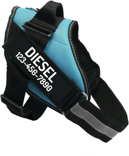 PawPawify Custom No Pull Dog Harness with Name and Phone Number, Heavy Duty Personalized Pet Vest to Prevent Tugging, Pulling, or Choking, Training and Walking (SkyBlue, S (10-19LBS))