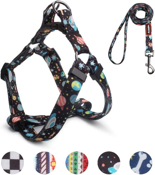 QQPETS Dog Harness Leash Set Adjustable Heavy Duty No Pull Halter Harnesses for Small Medium Large Breed Dogs Back Clip Anti-Twist Perfect for Walking (L(23"-32" Chest Girth), Space)