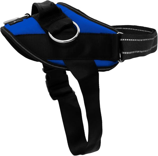 ShawnCo Essential Dog Harness, No-Pull Pet Vest with 3 Leash Clips, No Choke, Reflective, Adjustable and Padded, for Easy Walking and Training for Small, Medium and Large Dogs (Electric Blue,XS)