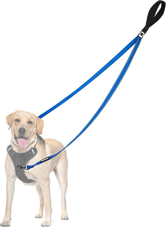 PetBonus Two Point Control Dog Leash, Works with No Pull Harnesses, No Tangle Training Leashes, Soft Padded and Reflective Walking Lead, Converts to Single Lead for Medium Large Dogs (Blue)
