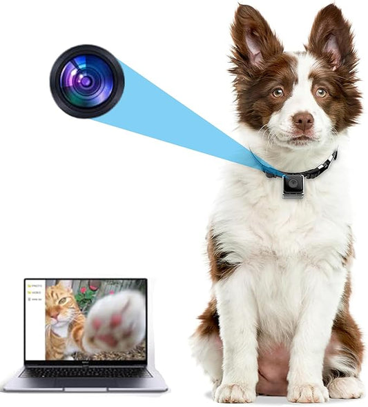 KinetCam Cat Camera Collar,No APP No WiFi Needed Cordless Cat Collar Camera with Video Record, M-Size Collar for Dogs/Big Cats,Pet Collar Camera Outdoor,Camera for Cat Collar(NO SD Card Included)