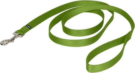 PetSafe Nylon Leash - Strong Nylon Dog Leash for Everyday Walks - Durable Pet Leash with Quick Attach Leash Clip - Comfortable Soft Grip - 6 Feet - Apple Green