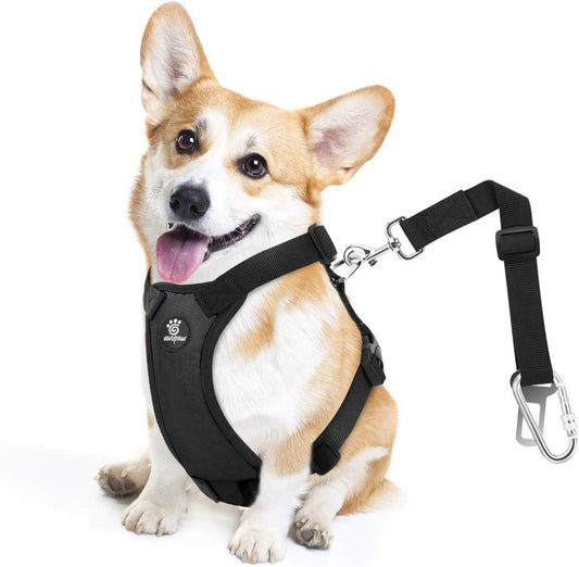 Dog Seat Belt, Safety Vest Dog Car Harness with Adjustable Buckle Dog Seat Belt for Vehicle Nylon Pet Safety Seat Belts Heavy Duty(S, Black)
