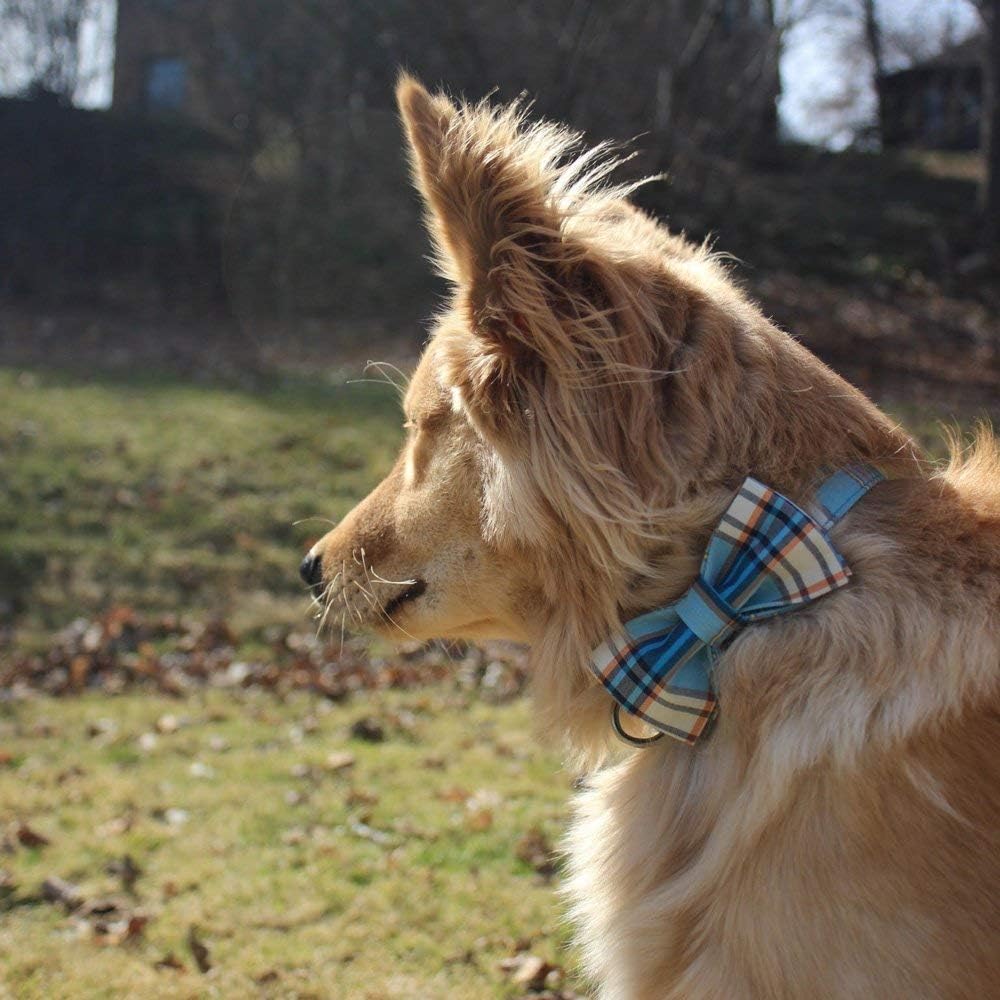 Lionet Paws Boy Dog Collar with Bowtie, Comfortable Adjustable Cute Blue Plaid Bow Tie Collar for Male Puppies and Cats Gift, XXS, Neck 7-11 inches
