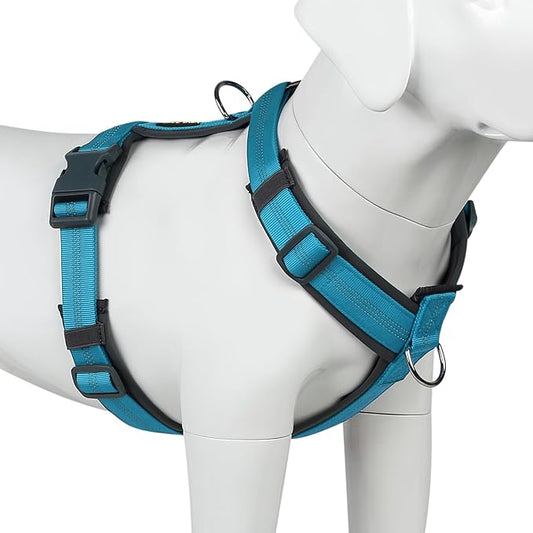 Plutus Pet No Pull Dog Harness, Adjustable Nylon Harness with Soft Padding, Reflective and Heavy Duty Dog Harness for Small, Medium, Large Dogs(Cyan, M)