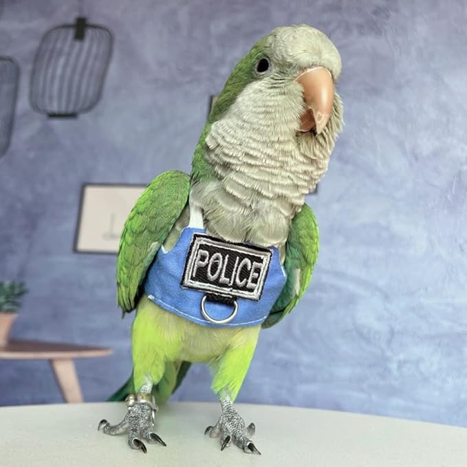 Bird Flight Harness Vest, Parrot Flight Suit with Leash, Bird Flying Clothes with Rope and Handle for Outdoor Activities (Without Leash,Blue Quaker)