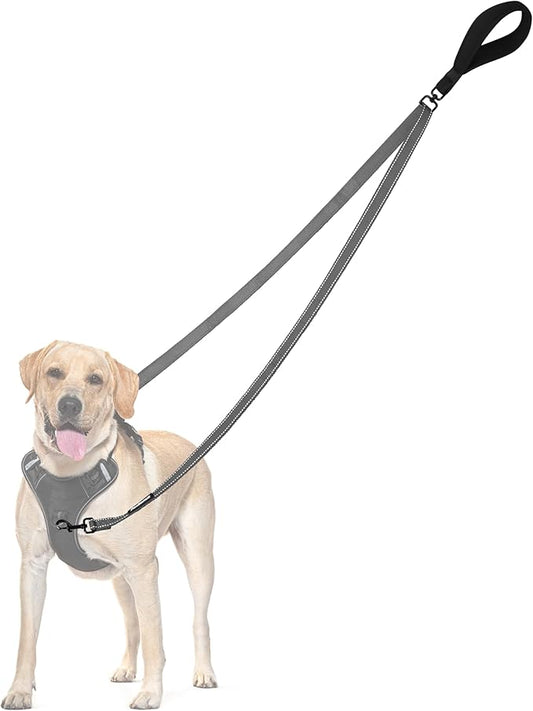 PetBonus Two Point Control Dog Leash, Works with No Pull Harnesses, No Tangle Training Leashes, Soft Padded and Reflective Walking Lead, Converts to Single Lead for Medium Large Dogs (Grey)